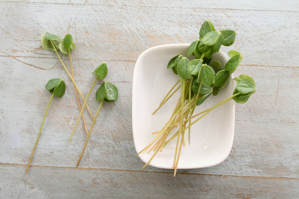 fresh healthy  micro herbs - Photo, Image