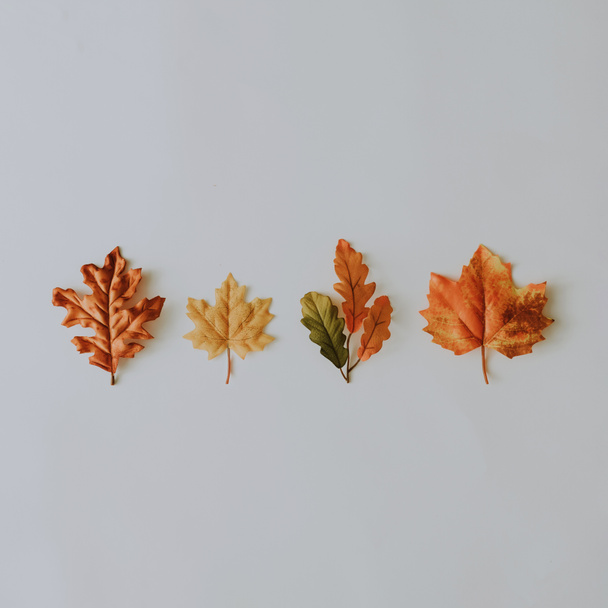 Creative autumn layout made with yellow fallen leaves and nuts. Minimal flat lay. Nature concept. - Photo, Image