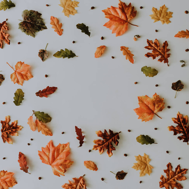 Δημιουργικό φθινόπωρο μοτίβο που κάνει με κίτρινα πεσμένα φύλλα και μούρα, έννοια της φύσης  - Φωτογραφία, εικόνα