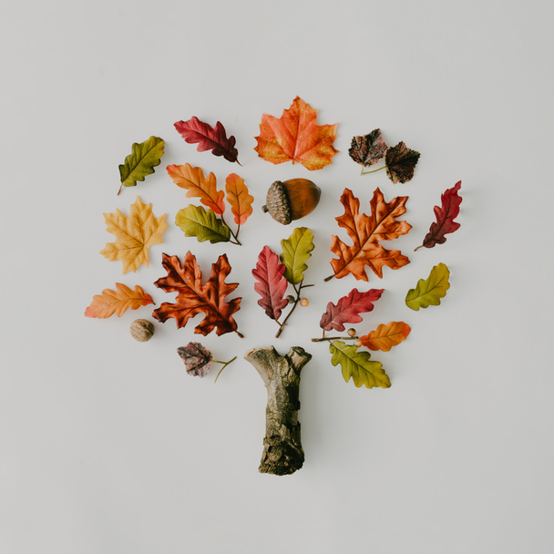 Kreativer Herbstbaum aus gelben abgefallenen Blättern und Nüssen. minimale flache Lage. Naturkonzept. - Foto, Bild