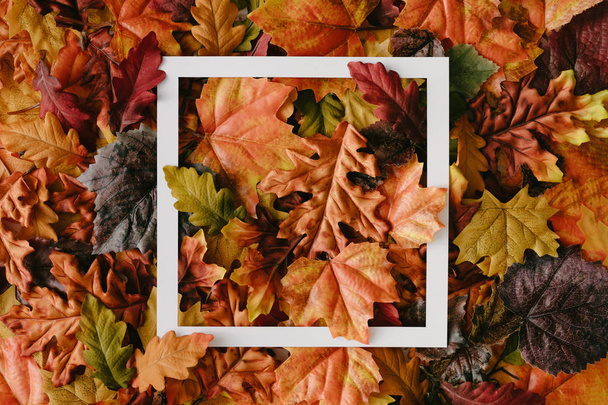 Творче компонування з осіннього листя з паперовою рамкою, концепція природи
  - Фото, зображення