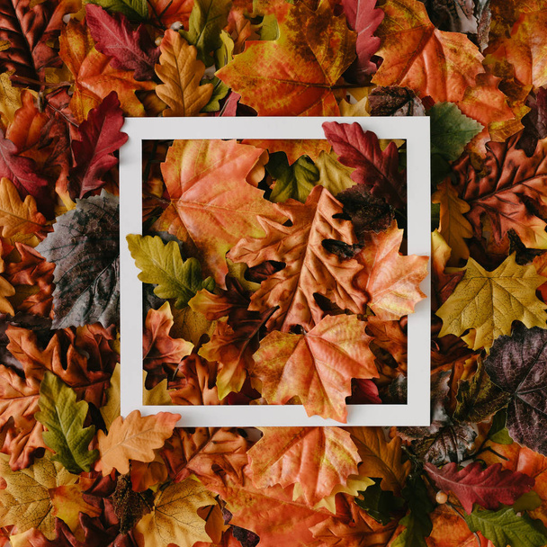 Creative layout made of autumn leaves with paper frame, Nature concept
  - Фото, изображение