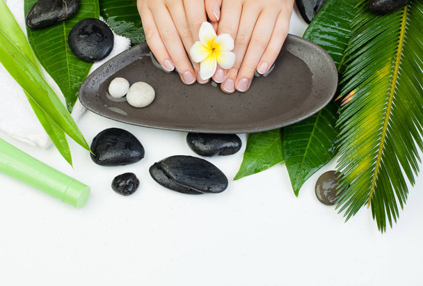 Beautiful female hands with bowl of water. Spa manicure with cream tubes - Photo, Image