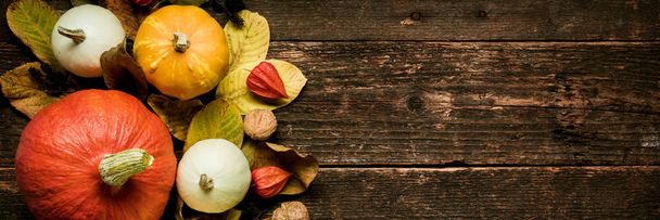 Autumn Harvest and Holiday still life. Happy Thanksgiving Banner. Selection of various pumpkins on dark wooden background. Autumn vegetables and seasonal decorations.  - Фото, зображення