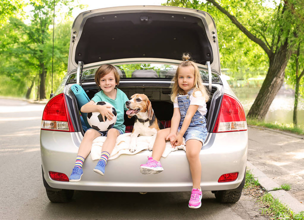 Słodkie dzieci z pies siedzi w bagażniku samochodu - Zdjęcie, obraz