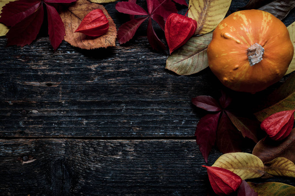 Happy Thanksgiving. Pumpkin and fallen leaves on dark wooden background. Autumn vegetables and seasonal decorations. Autumn Harvest and Holiday still life.  - Photo, image