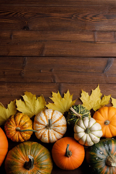 Many colorful pumpkins and maple leaves frame on wooden background , autumn harvest , Halloween or Thanksgiving concept - Φωτογραφία, εικόνα