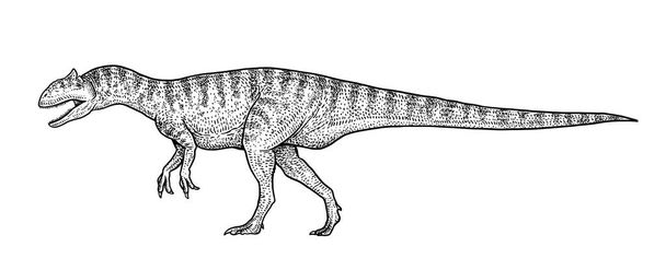 Allosaurus illustratie, tekening, gravure, inkt, zeer fijne tekeningen, vector - Vector, afbeelding