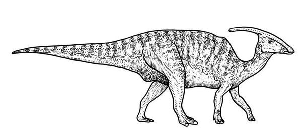 Parasaurolophus illustratie, tekening, gravure, inkt, zeer fijne tekeningen, vector - Vector, afbeelding