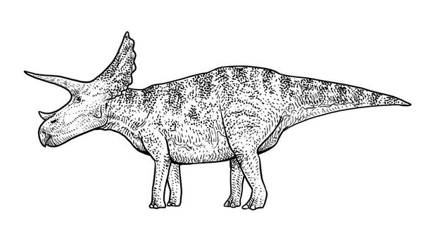 A Triceratops illusztráció, rajz, metszet, tinta, vonalas, vektor - Vektor, kép