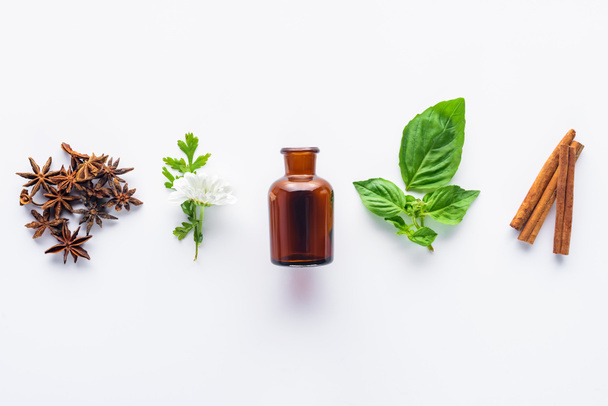 elevated view of bottle of aromatic essential oil, cinnamon sticks, carnation and green leaves isolated on white - Foto, Imagen