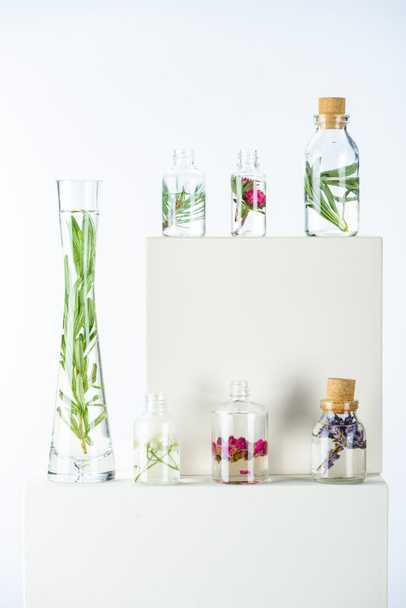 vase and bottles of natural herbal essential oils with flowers and herbs on white cubes - Foto, Imagem