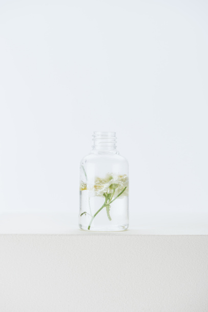 bottle of natural herbal essential oil with chamomile flowers on white surface - Photo, Image