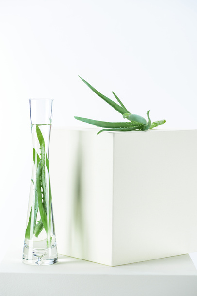 vase of natural herbal essential oils with aloe vera on white cubes - Photo, Image