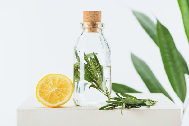 botella transparente de aceite esencial de hierbas naturales con ramita verde y limón en cubo blanco
 - Foto, imagen