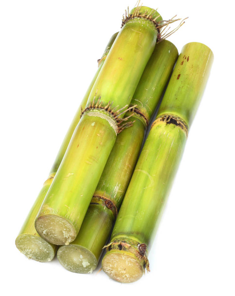 Fresh  Sugarcane over white background - Photo, Image