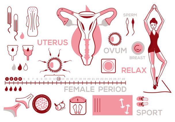 Infografías sobre el ciclo menstrual de una mujer, salud, higiene, vector, fondo blanco, juego de caracteres
 - Vector, Imagen