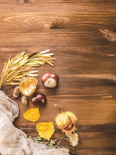 Ripe chestnuts on old wooden table close up with copy space. autumn background copy space. group of objects. Style Top View - Fotoğraf, Görsel