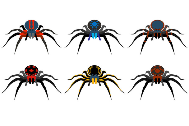 Abbildung von Spinnen auf weißem Hintergrund - Vektor, Bild