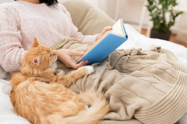red cat and female owner reading book at home - Foto, Bild
