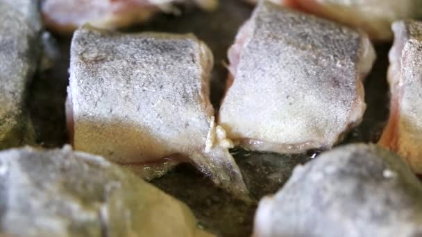 Fischstücke in Nahaufnahme braten - Filmmaterial, Video