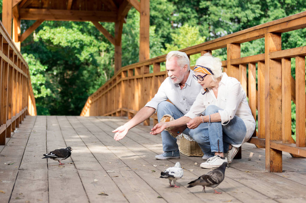 Kind senior people sitting on the bridge and feeding pigeons - Foto, imagen