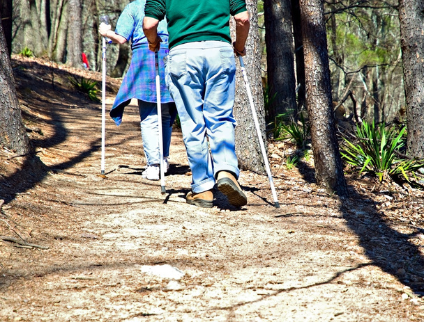 yaşlı çift hiking - Fotoğraf, Görsel