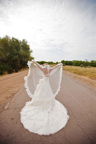 bride on the road - Foto, Bild