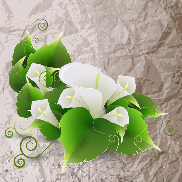 White lily on crumpled paper background - Vector, Image