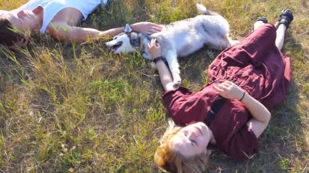 Dolly schot van gelukkige paar liggen op groen gras op veld en strelen hun Siberische husky hond op zonnige dag. Jong koppel in liefde ontspannen en genieten van de zomer weekend bij zonsondergang. Bovenaanzicht close-up - Video