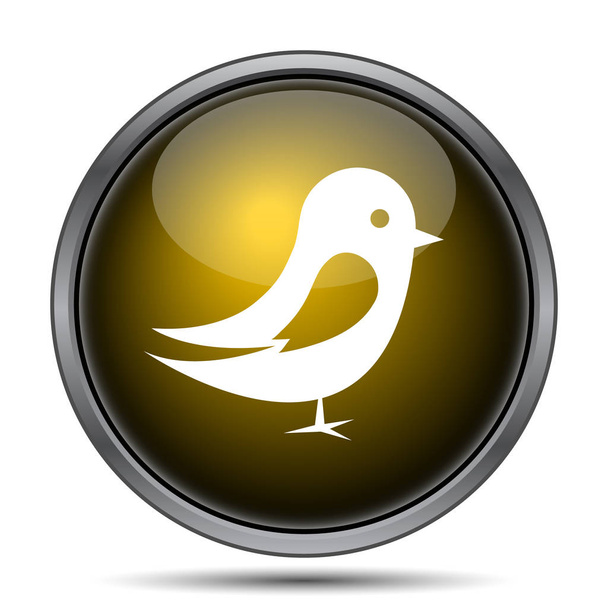 Bird icon - Photo, Image