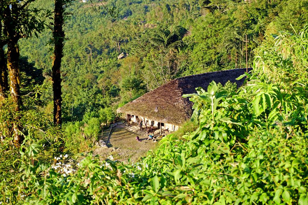 Longwa est situé sur une colline entre l'Inde et le Myanmar. La frontière nationale traverse directement le village et la maison des Angues, le chef de Longwa. Les villageois vivent dans de longues cabanes, appelées maisons longues qui mesurent jusqu'à 80 mètres
 - Photo, image