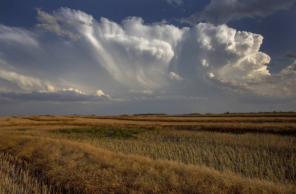 Nuages de tempête dans les Prairies Saskatchewan Canada Terres agricoles
 - Photo, image
