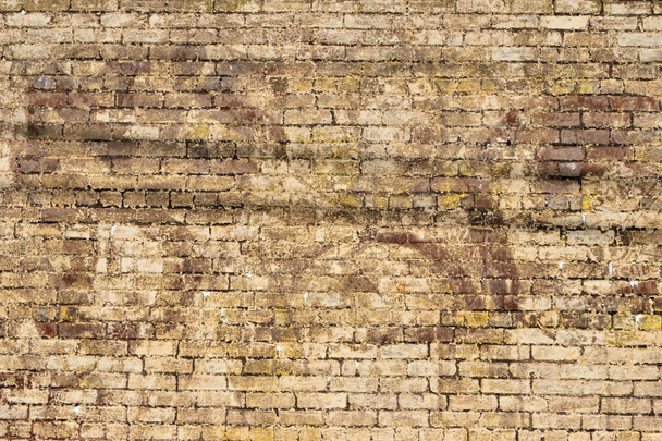 Old grunge building brick wall backdrop exterior - Photo, Image
