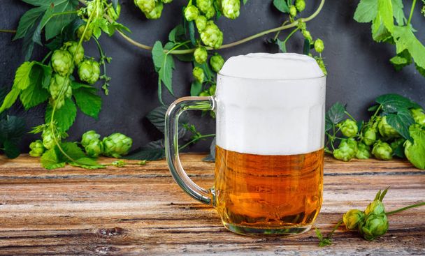 Glass mug of cold fresh golden beer on wooden table, and branches of ripe hops on dark wall - Fotoğraf, Görsel