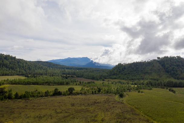 Vista área desde las afueras de Angahuan hacia el volcn parcutin
  - Foto, Imagen