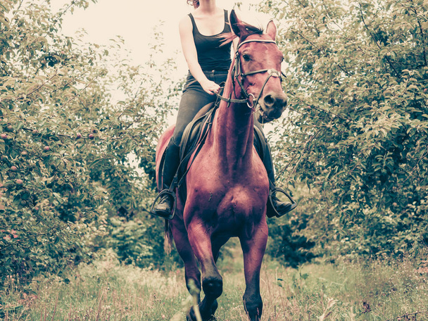Animal, horsemanship concept. Young woman ridding on a horse through garden on sunny spring day - Foto, Imagen