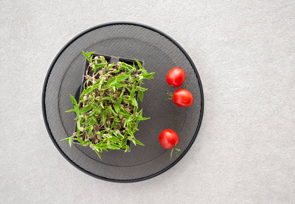 Здорове харчування. Квасоля зелена капуста і помідори Черрі. Вегетаріанське харчування. - Фото, зображення