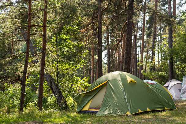 Collected tents in forest glade, collective camping, outdoor recreation - Fotó, kép