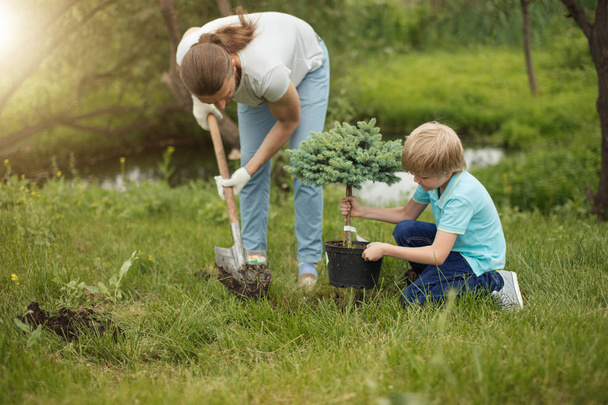 Smiling adult father and his son planting a tree outdoors in park. - Foto, Bild