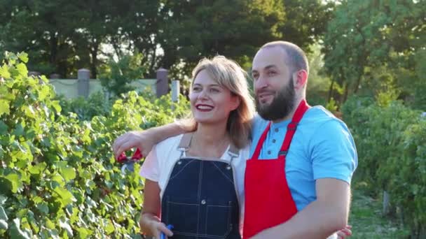 Happy couple of farmers talking and dreaming at vineyard - Záběry, video