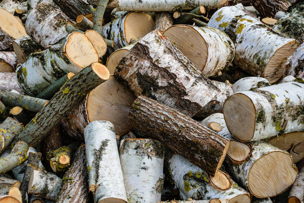 grande pilha de troncos de madeira de fogo no gramado verde no pátio da casa de campo
 - Foto, Imagem