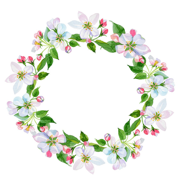 Watercolor apple blossom flower. Floral botanical flower. Frame border ornament square. - Фото, зображення