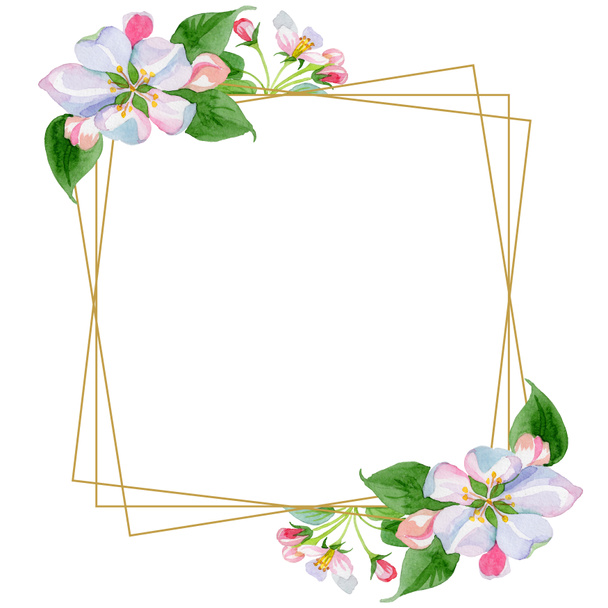 Aquarel apple blossom bloem. Floral botanische bloem. Frame grens ornament vierkant. - Foto, afbeelding