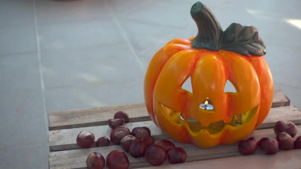 Halloween pompoen met kastanjes decoratie op houten doos - Video
