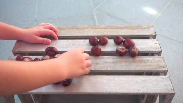 Little girl playing with chestnuts on wooden box - Footage, Video