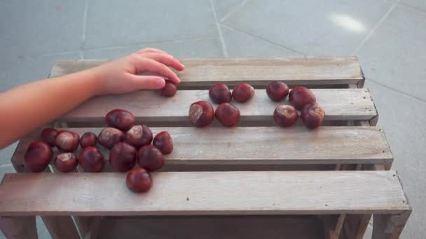 kleines Mädchen spielt mit Kastanien auf Holzkiste - Filmmaterial, Video