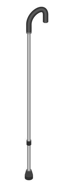 Metal walk stick icon, isometric style - Wektor, obraz