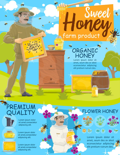 Συγκομιδή μελιού, έλεγχος κυψέλη μελισσοκόμου - Διάνυσμα, εικόνα