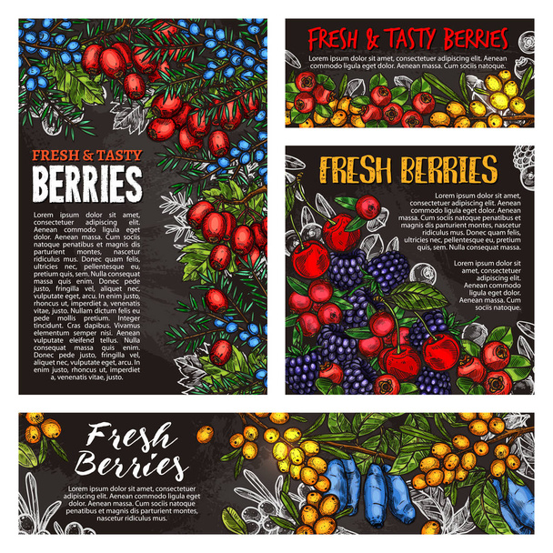 Άγρια φρούτα μούρο δασικών και γεωργικών - Διάνυσμα, εικόνα
